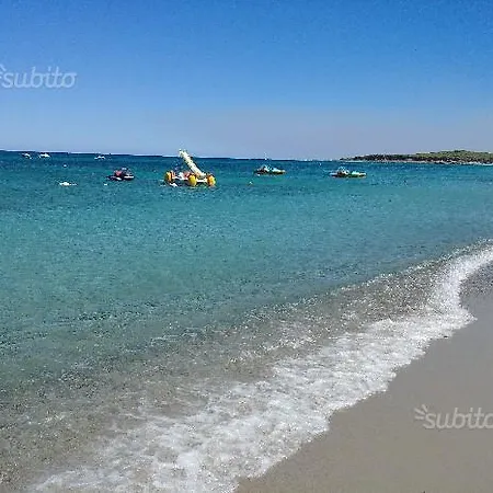Sas Enas *